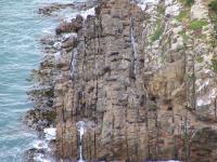 Albums/20060200-New Zealand 2006/20060313-Catlins/77